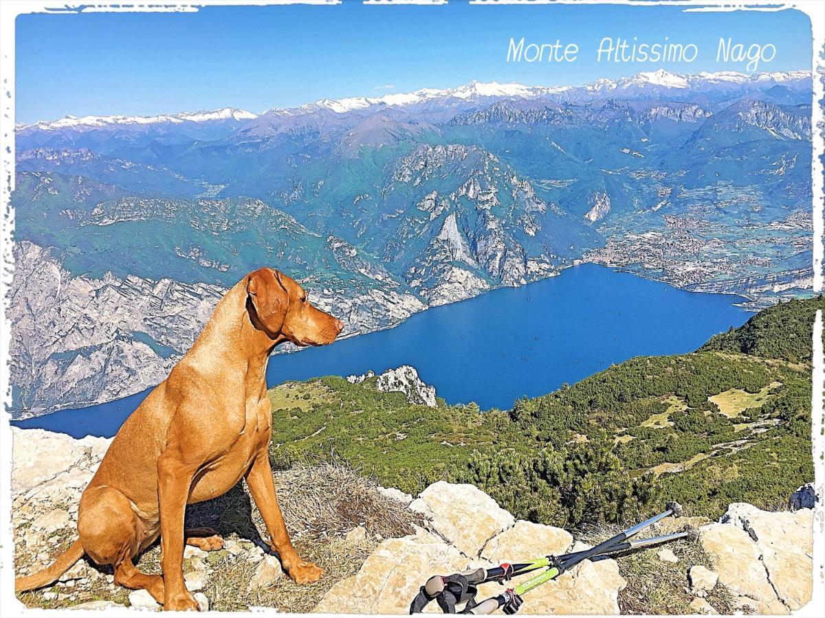 Viewlake Apartment Torbole Sul Garda Εξωτερικό φωτογραφία